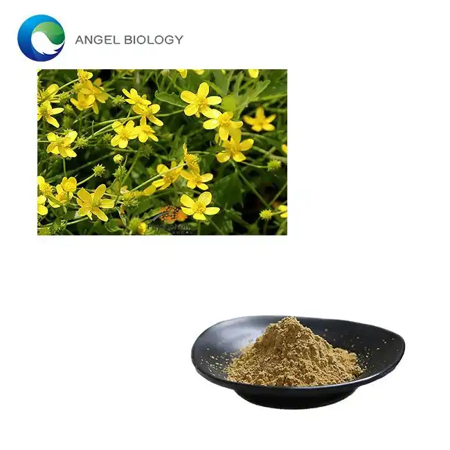 Catclaw Buttercup Root Extract